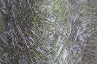 Oldshore Beg fibreglass roof work